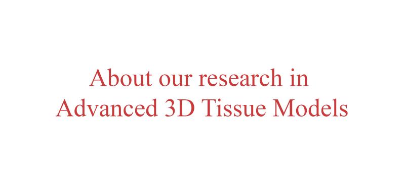 About our research in Advanced 3D Tissue Models.png